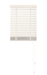 Basswood Standard 65mm, Schelpwit