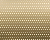 Aluminium Elegance 50mm, Champagne Perf (+10.0%)