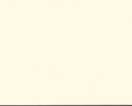 Basswood Standard 50mm, Schelpwit